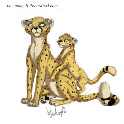 kotenok_gaff_cheetah_brothers.JPG